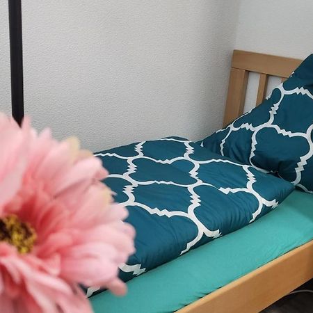 גוסלר Ferienwohnung Marie-Luise Hahnenklee מראה חיצוני תמונה