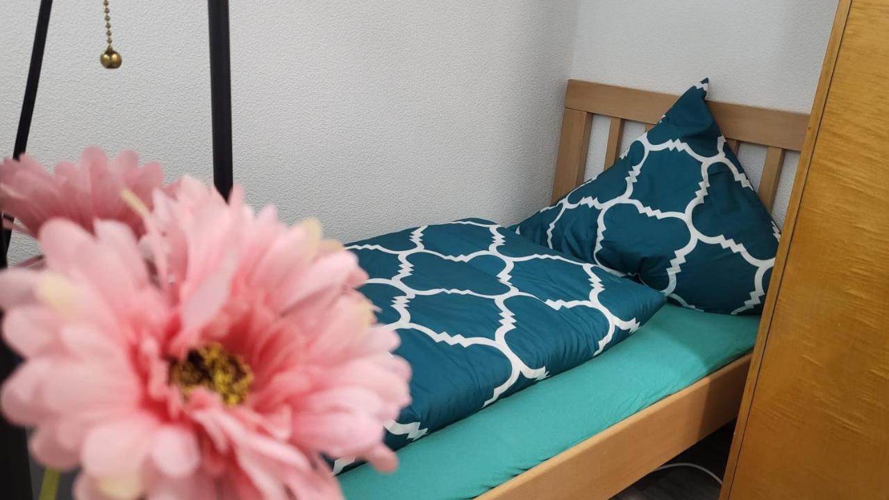 גוסלר Ferienwohnung Marie-Luise Hahnenklee מראה חיצוני תמונה